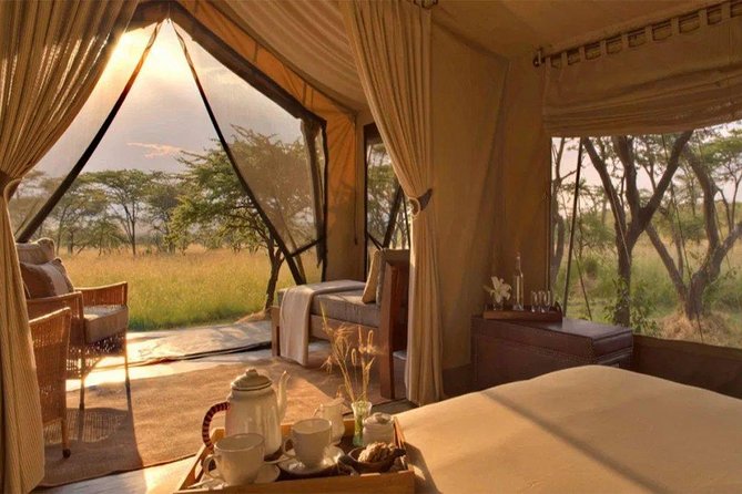6 Days Maasai Mara/Nakuru/Amboseli Group Safari - Amboseli National Park: elephants with Mt. Kilimanjaro in frame