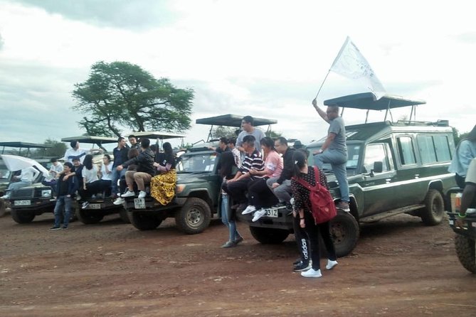 6 Days Maasai Mara/Nakuru/Amboseli Group Safari - Comfort in the vehicle and group size advantages