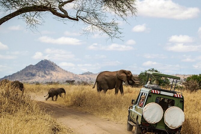 6 Days Masai Mara, Lake Nakuru and Amboseli Budget Group Safari - Price and logistics: what you are really paying for in this $1,130 plan