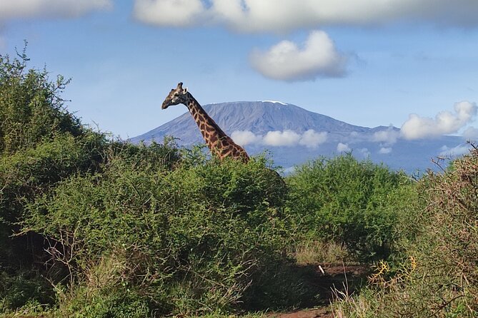 6-Days of Elephants, Wildebeest and Big 5: Kenya’s Classic Safari - Nairobi pickup and the road-trip rhythm you should expect