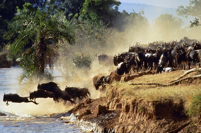 6 Days of Kenyan Wonders: Amboseli, Lake Nakuru, and Masai Mara - Day 3 to Lake Nakuru: flamingos, rhinos, and the changing scenery