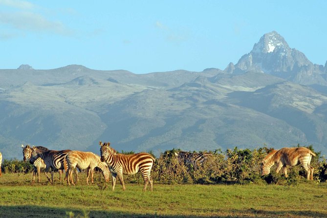 6 Days of Kenyan Wonders: Amboseli, Lake Nakuru, and Masai Mara - Price and value: what the $2,000 really buys in this format