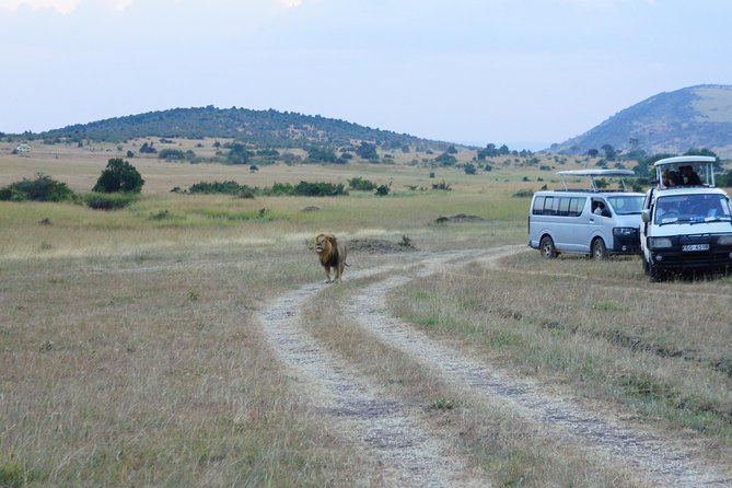 6 Days private safari package Kenya - Getting Started: Nairobi Pickup at 7:00 am