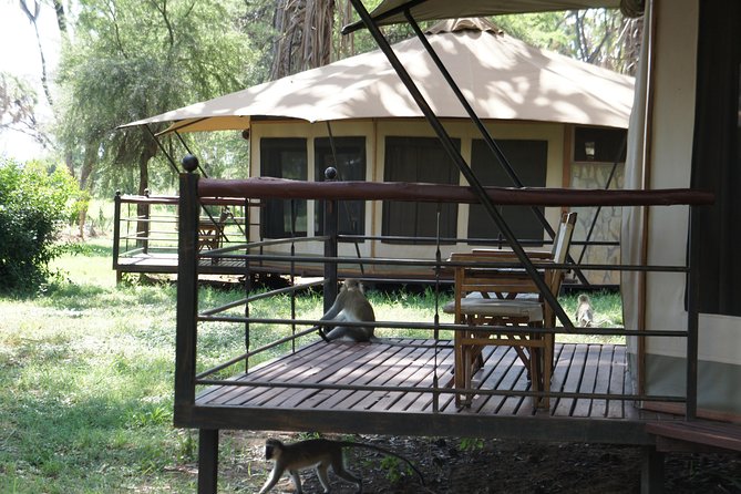 6 Days private safari package Kenya - Lakes Safari Days: Lake Nakuru and Lake Naivasha Focus