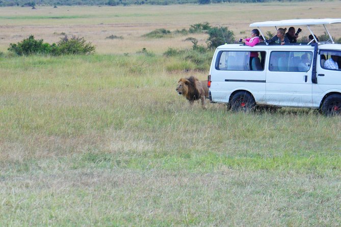 6 Days private safari package Kenya - Amboseli Drive: First Park Timing and First-Contact Wildlife