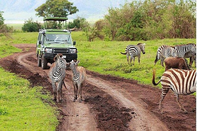 6Days Amboseli, Lake Nakuru and Masai Mara Camping Safari on Jeep - Rift Valley transfer to Lake Nakuru, and that flamingo show