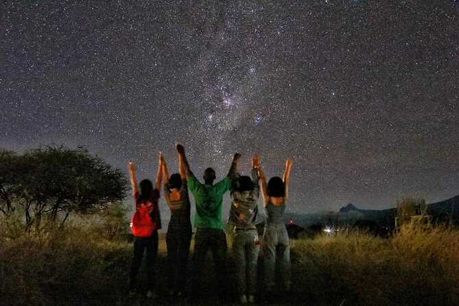 6days Masai mara-lake nakuru via Lake naivasha-Amboseli 4x4 jeep Safari - The all-inclusive meals and lodging, with options that actually matter