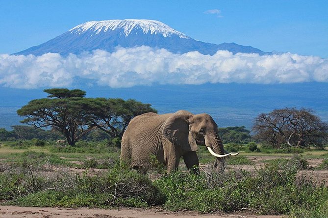 7 Day Maasai Mara, Lake Nakuru, Lake Naivasha and Amboseli Safari - Getting picked up in Nairobi, then rolling toward the Rift Valley views