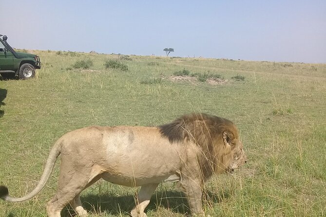 7 Day Private Jeep Safari, 5 star lodges with Balloon Ride Kenya - Entering Maasai Mara, Rift Valley views, and a sunset drive that actually delivers