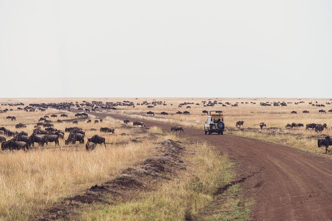 7 Day Private Jeep Safari, 5 star lodges with Balloon Ride Kenya - Amboseli’s Kilimanjaro views: the kind of framing that makes photos believable