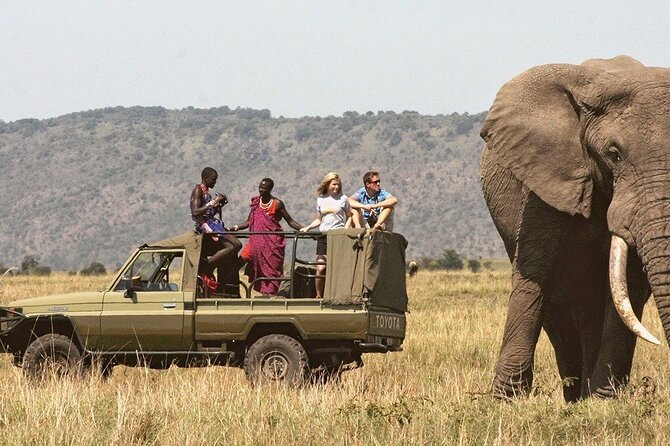7-Day Private Tour in Kenya National Parks From Nairobi / Mombasa - Price and Logistics: is $2,550 per person good value here?