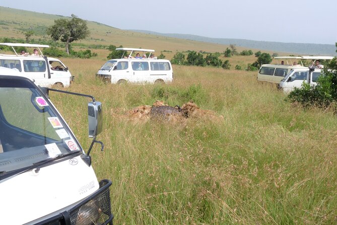 7 Days Amboseli-Lake Naivasha-Lake Nakuru & Masai Mara - Lake Naivasha Day 3: Rift Valley calm with an optional Crescent Island boat ride