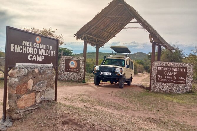 7 Days Amboseli-Lake Naivasha-Lake Nakuru & Masai Mara - Lake Nakuru Day 4: flamingos, rhinos, and a focused afternoon drive