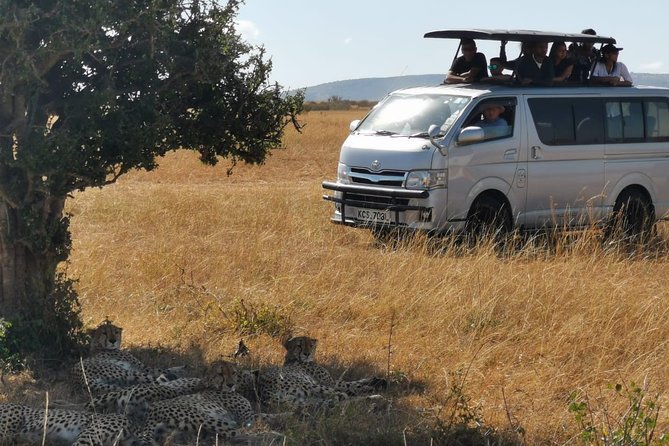 7 Days Amboseli, Naivasha, Maasai Mara and Lake Nakuru game parks - Day 7 Morning departure, Nairobi drop-off, and Ololaimutiek culture stop
