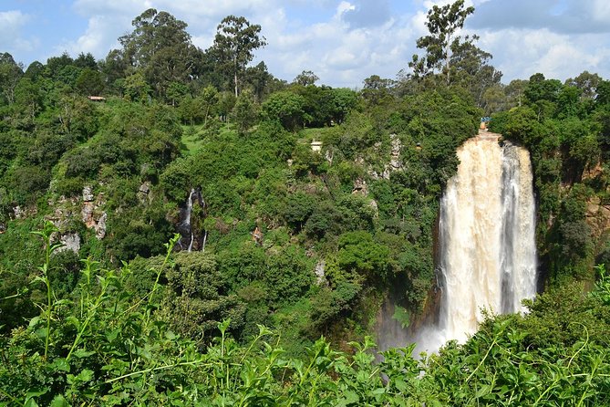 7 Days Breathtaking Kenya Wildlife Private Safari - Day 7: Nairobi morning drive and a return to the city