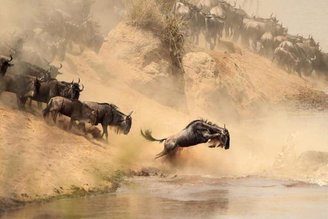 7 days Group Safari Masai Mara Lake Nakuru Hells gate & Amboseli - Price and value: why $2,333 can feel fair here