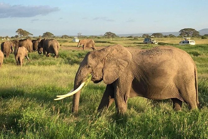 7 Days Into the Wild Wonder : Lodge Safari with Private 4x4 JEEP - Day 4: Naivasha calm time, optional Hell’s Gate, and hippos by the water