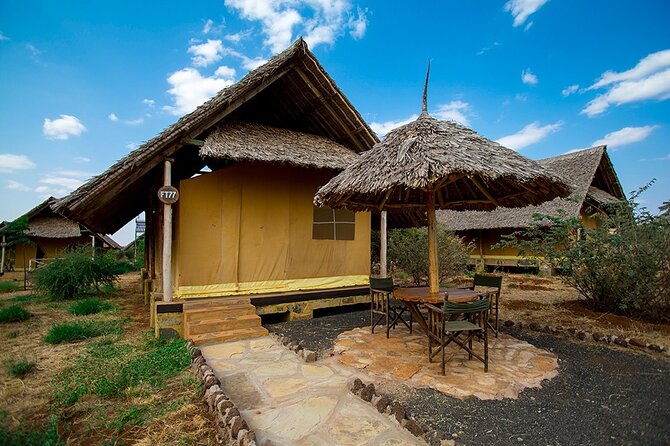 7 Days Into the Wild Wonder : Lodge Safari with Private 4x4 JEEP - Day 2: Full Masai Mara drives, Big Five odds, and a picnic lunch rhythm