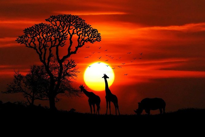 7 Days Kenya Luxury Safaris - Masai Mara NR, Amboseli NP and Lake Nakuru NP - Amboseli National Park: Mount Kilimanjaro and the Big Five stage