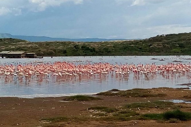 7 Days maasai mara - lake nakuru - lake naivasha- amboseli safari. - Day 5 Hell’s Gate nature walk and the push into Amboseli