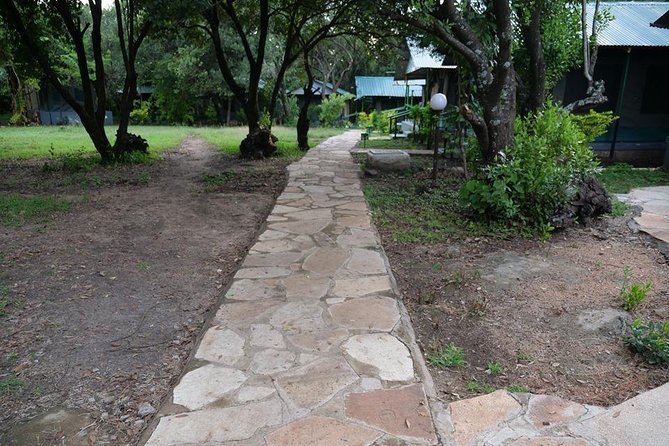 7 Days Mara/L.Naivasha/L.Nakuru/Amboseli - Day 2 in Maasai Mara: Big Five Chances, Hippo Pool Lunch, and Optional Upgrades