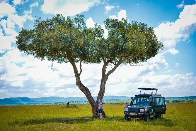 7 Days Masai Mara-Lk. Nakuru-Lk. Naivasha-Amboseli group Safari - Day 7: One last game drive, then Nairobi drop-off