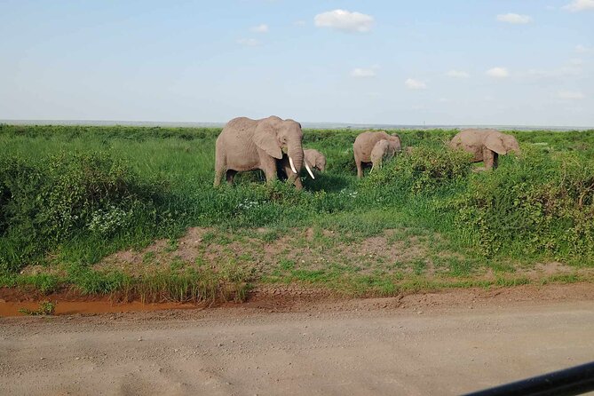 7 Days of Kenyan Wonders: A Mid-Range Safari Adventure - Key highlights at a glance