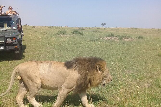 7 Days Private safari to 4 Star lodges using a Jeep - Key highlights to pay attention to