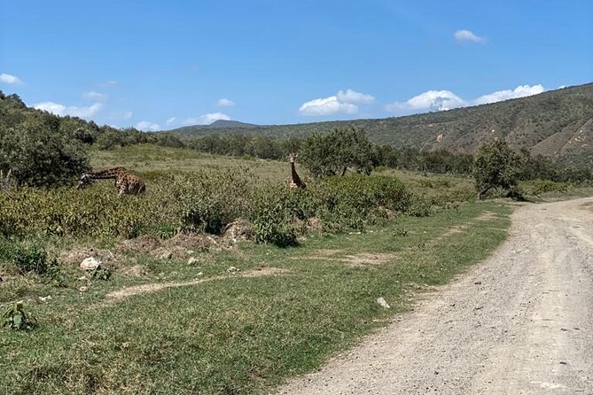 7 Days Private safari to 4 Star lodges using a Jeep - Day 2: Mara River Big Five day, plus optional Maasai village or balloon safari