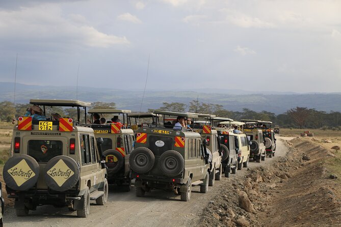 7 Days Safari to Maasai Mara, Nakuru, Naivasha and Amboseli - Four parks in seven days, and why it works