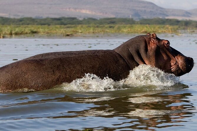 7 Days Safari to Maasai Mara, Nakuru, Naivasha and Amboseli - Naivasha: Hell’s Gate biking safari is the perfect pace change