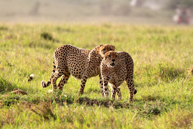 8-Day Amazing Kenya Holiday Safari - The overall route: why this order makes sense