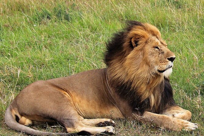 8 Day Bush and Beach Private Holiday Safari - Day 1: Naivasha and Hell’s Gate, with birds and an optional lake boat