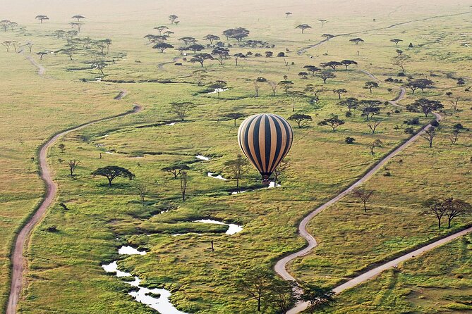 8-Day Kenya Group Joining Safari - Amboseli big-herd day and birdlife spotting