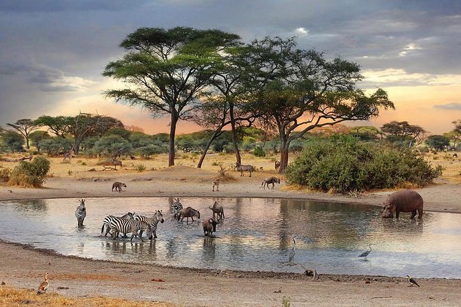 8 Days Best of Kenya and Tanzania Safari from Nairobi - Why this Kenya and Tanzania safari route works from Nairobi