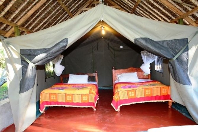 8 Days Kenya and Tanzania Private Lodging Safari from Nairobi - Ngorongoro crater: concentrated wildlife and the Olduvai Gorge angle