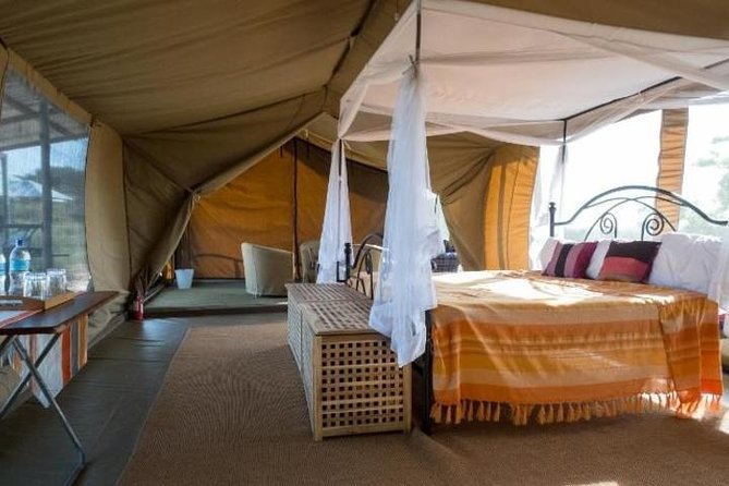 8 Days Kenya and Tanzania Private Lodging Safari from Nairobi - Final day: Arusha to Nairobi, border PCR handling, and drop-off