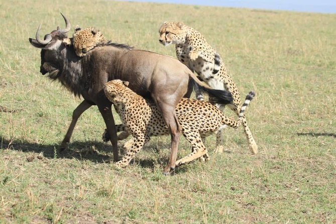 8 Days Safari to Amboseli, Great Rift Valley Lakes & Masai Mara - Day 3 in Hell’s Gate and Lake Naivasha: Optional Hikes and Rift Valley Calm