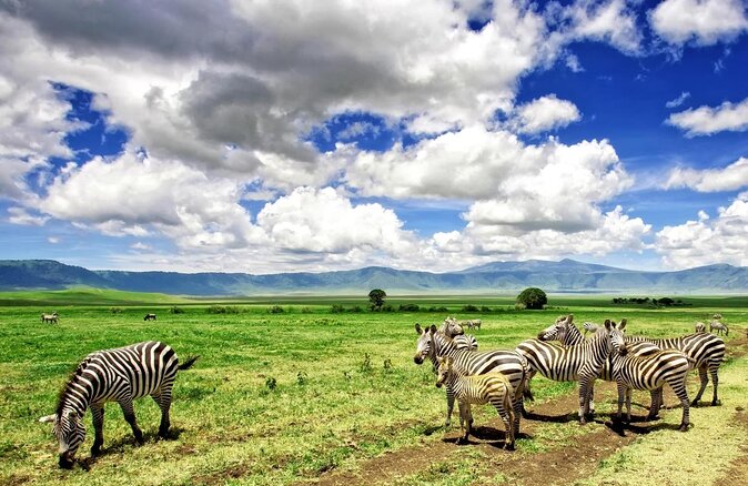 9 days, 8 nights budget Kenya and Tanzania safari - Key highlights you will feel on the ground