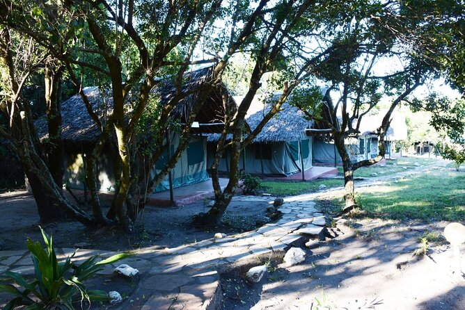 9 days, 8 nights budget Kenya and Tanzania safari - Day 5: Lake Manyara with camping, a chef, and birds that steal the show