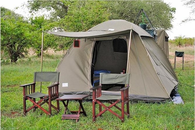 9 days, 8 nights budget Kenya and Tanzania safari - Day 6: Serengeti arrival and a first round of game-drive searching
