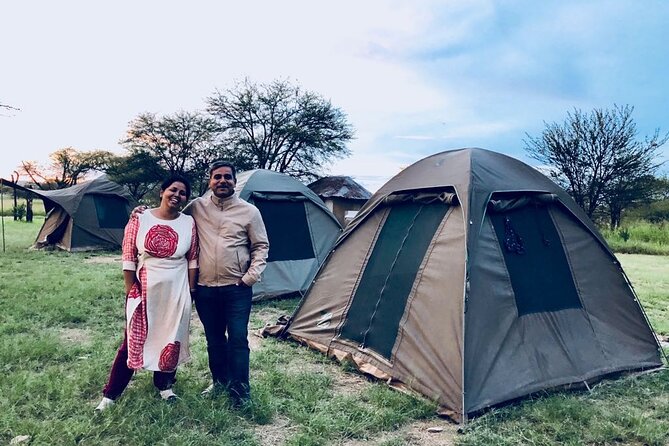 9 days, 8 nights budget Kenya and Tanzania safari - Day 7: Serengeti full day, picnic lunch, and the joy of big density