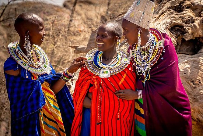 9 Days Kenya and Tanzania Wildlife Experience - Maasai Mara, where two game drives beat one