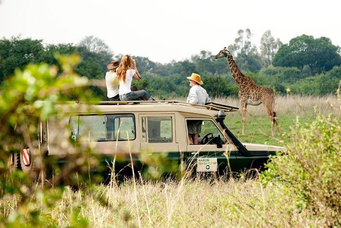 9 Days Kenya Classic Lodge Safari - Kenya Classic Lodge Safari: what the 9 days really feel like