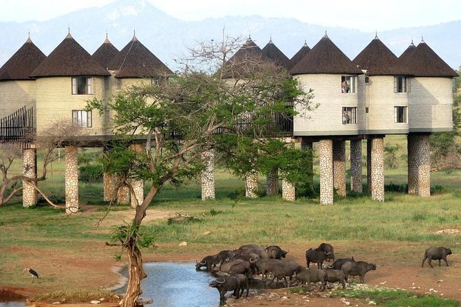 9 Days Kenya Classic Lodge Safari - Lake Nakuru and Lake Naivasha: flamingos, rhinos, and bird-focused time