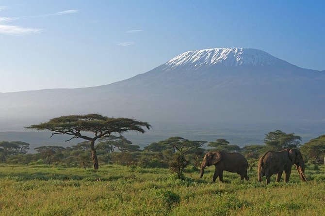 9 Days Samburu- Nakuru- Mara-Naivasha- Amboseli Wild Safari - Day 7: Hell’s Gate Park Walks, Bike Ideas, and the Road to Amboseli