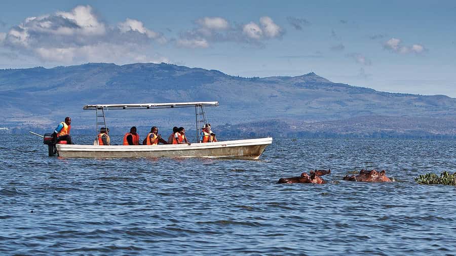 A day tour; Lake Nakuru national park& L. Naivasha Boat ride - Rift Valley viewpoint to start your day right
