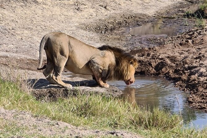 A thrilling Kenya 4 Days Adventure: Masai Mara &Lake Nakuru - Price and value: is $1,500 per person a smart buy?