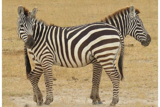 African Wildlife & Nature - 5 Kenya national parks - 6 day Jeep Safari - Day 3: Lake Naivasha Boat Safari and Crescent Island Walking