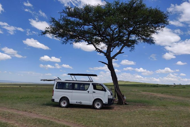 Afternoon half day mini safari to Nairobi National Park - Price and value: is $190 per person a fair deal?